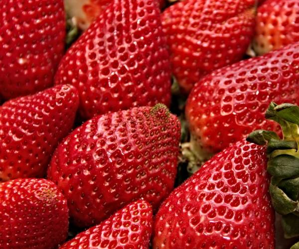 fresas caja